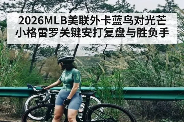 2026MLB美联外卡蓝鸟对光芒小格雷罗关键安打复盘与胜负手